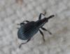 314195 – Photo : Guénael Hallart – France (02)